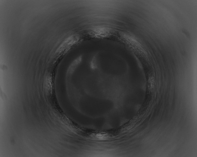 X0000090710506200708031436