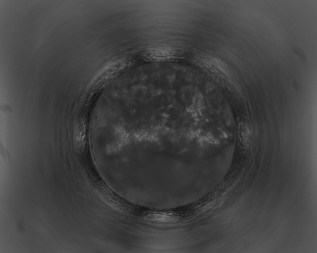 X0000090710507200708031436