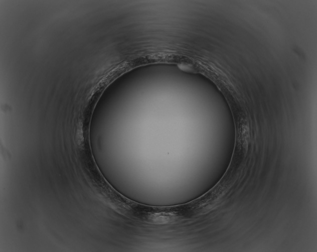 X0000090710508200708031436