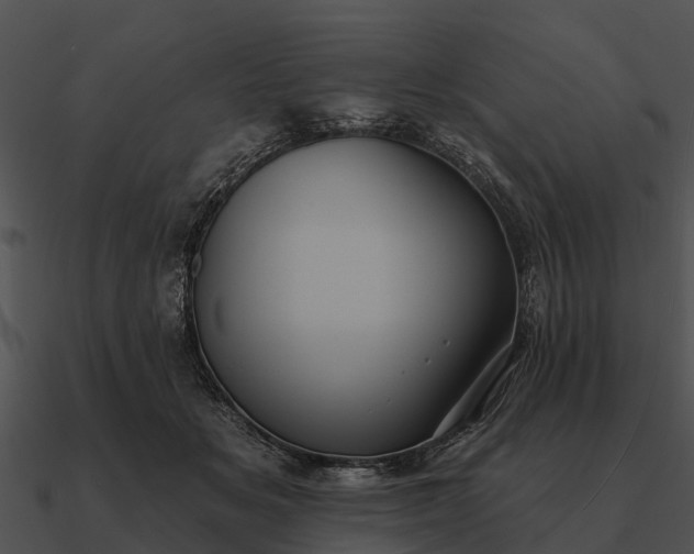 X0000090710509200708031436