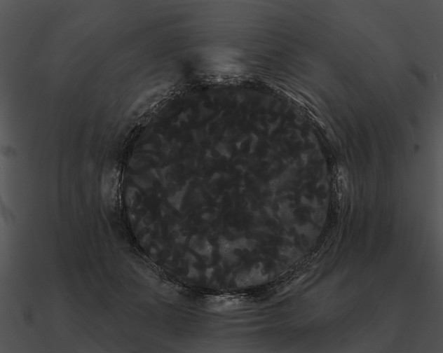 X0000090710511200708031436