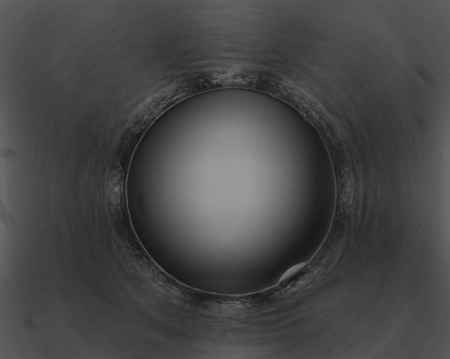 X0000090710513200708031436