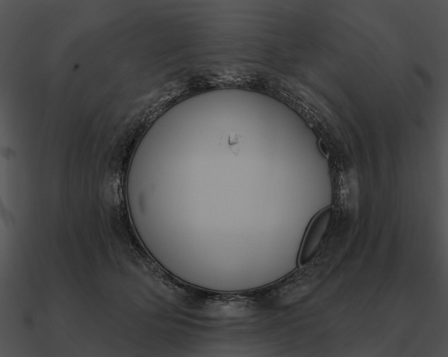 X0000090710514200708031436