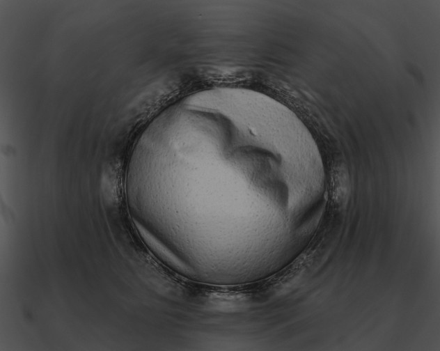 X0000090710515200708031436