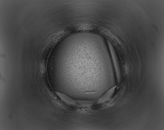 X0000090710517200708031436