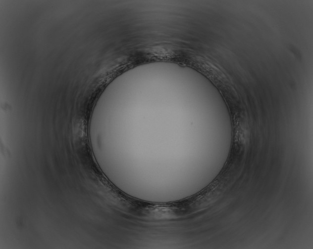 X0000090710518200708031436