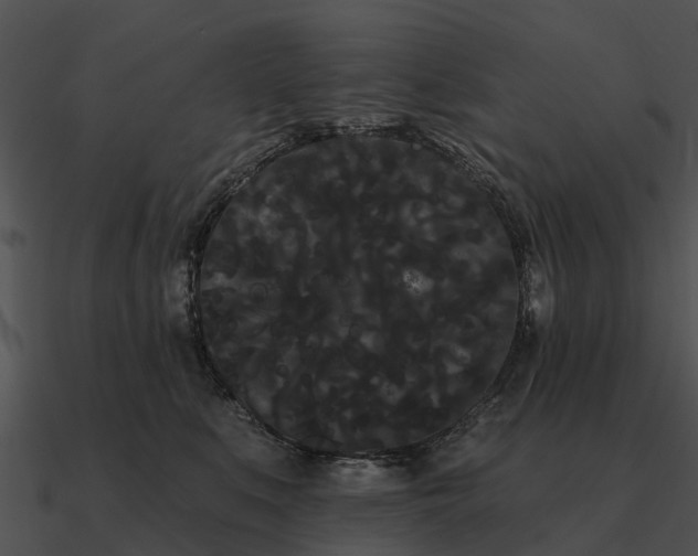 X0000090710519200708031436