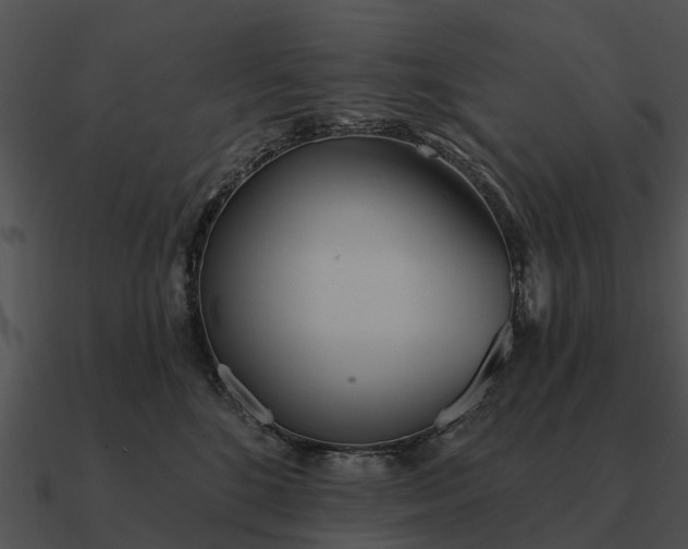 X0000090710520200708031436