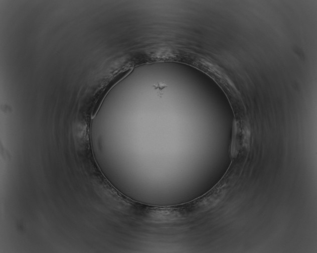 X0000090710521200708031436