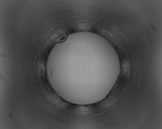 X0000090710522200708031436