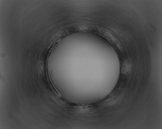 X0000090710524200708031436