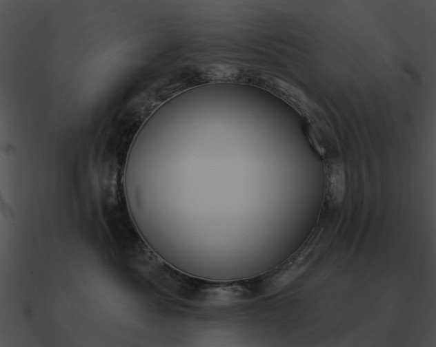 X0000090710525200708031436