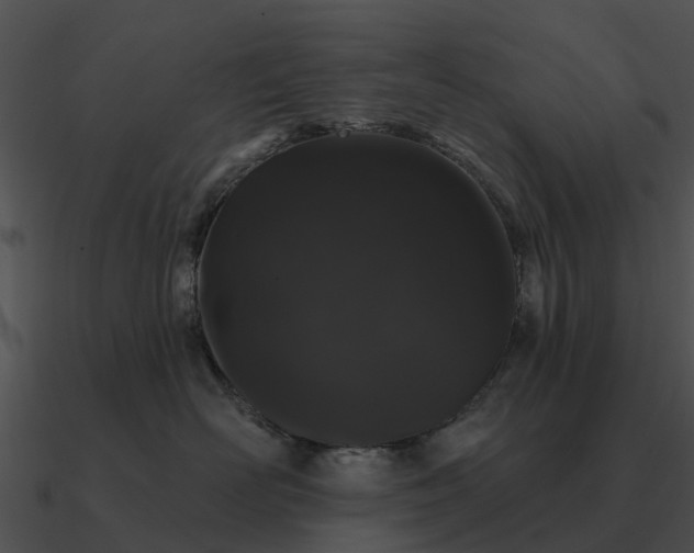 X0000090710526200708031436