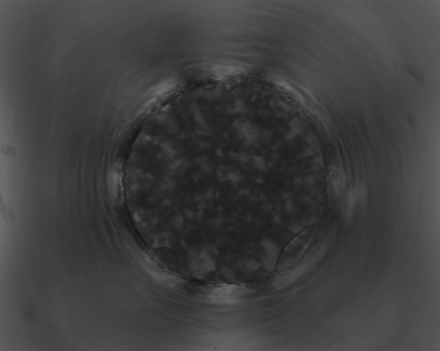 X0000090710527200708031435