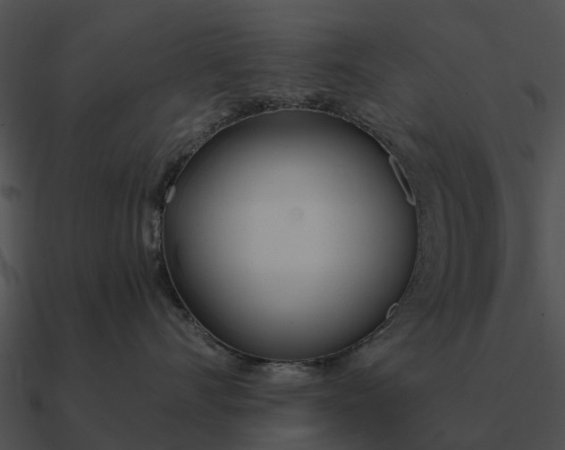 X0000090710528200708031435