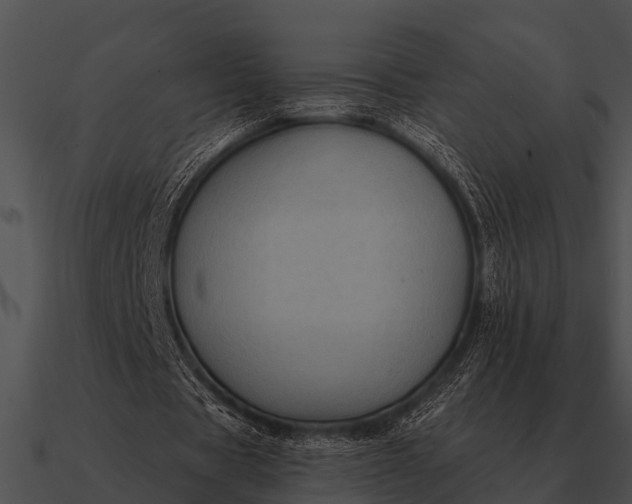 X0000090710529200708031435