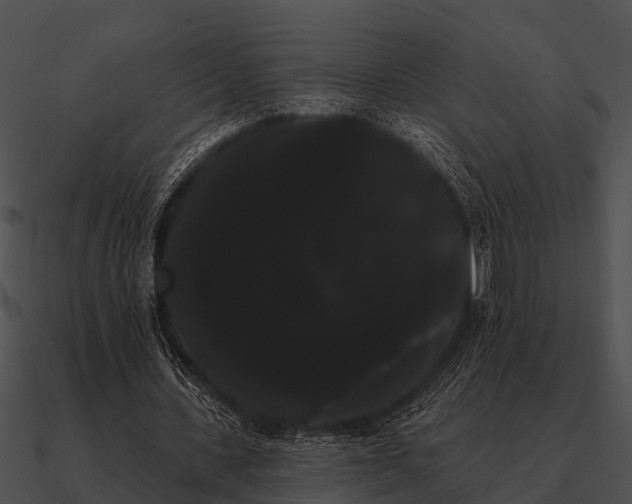 X0000090710531200708031435