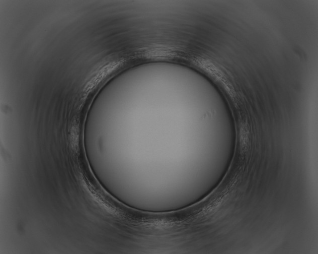 X0000090710533200708031435