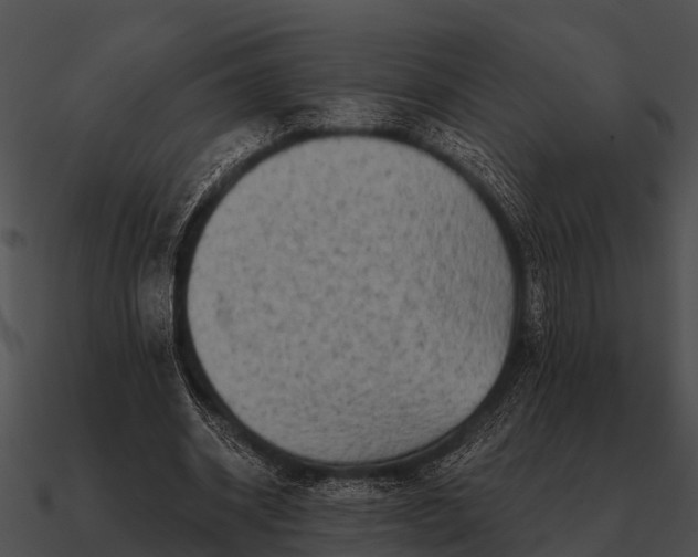 X0000090710534200708031435