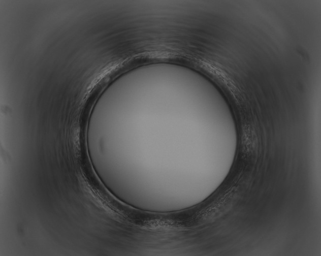 X0000090710535200708031435