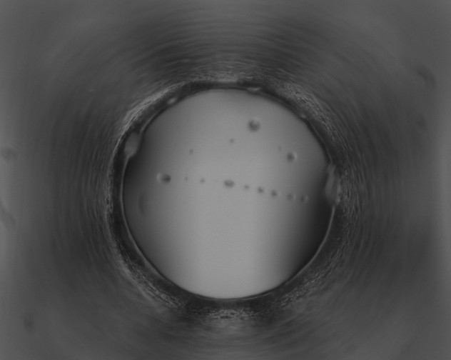 X0000090710536200708031435