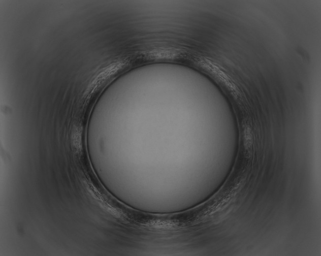 X0000090710537200708031435