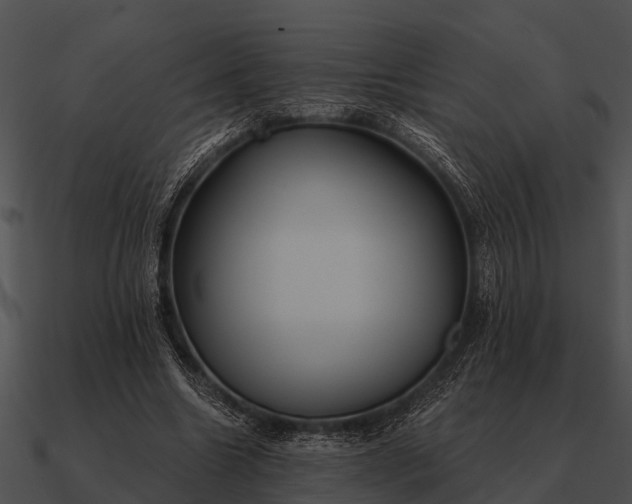 X0000090710538200708031435