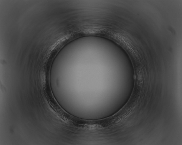 X0000090710539200708031435