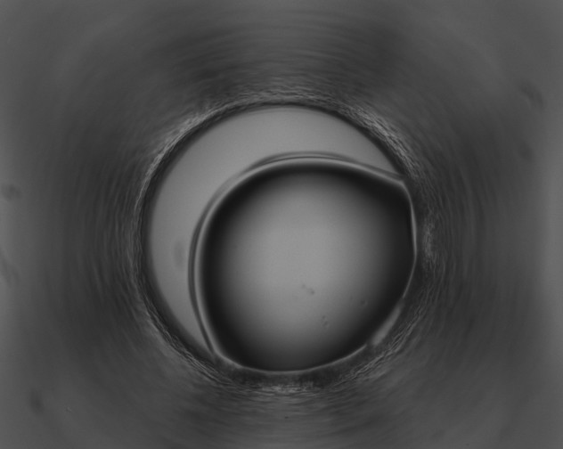 X0000090710540200708031435