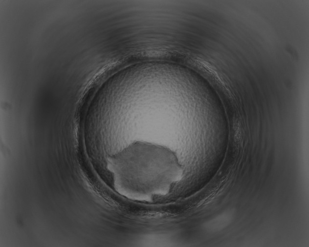 X0000090710542200708031435