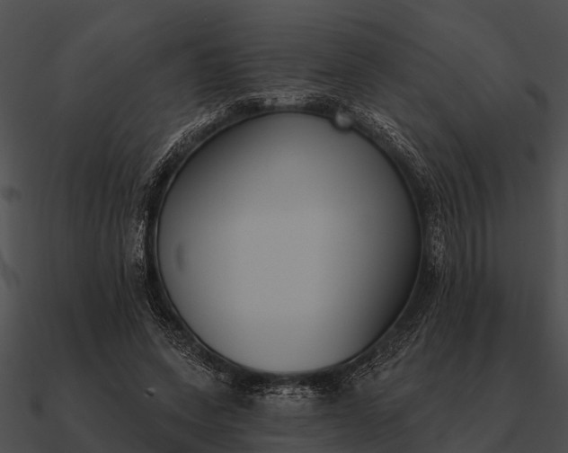 X0000090710543200708031435