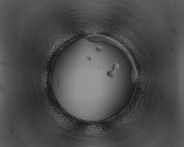 X0000090710544200708031435