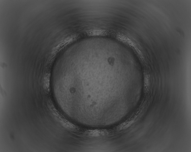 X0000090710545200708031435