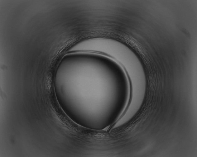 X0000090710546200708031435