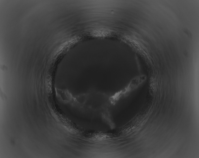 X0000090710547200708031435