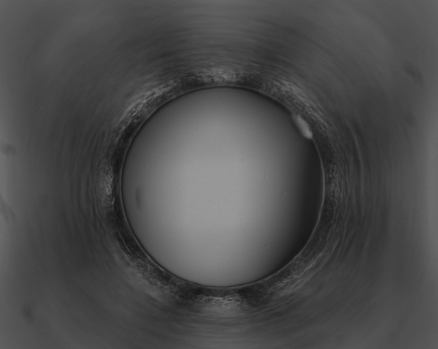 X0000090710548200708031435