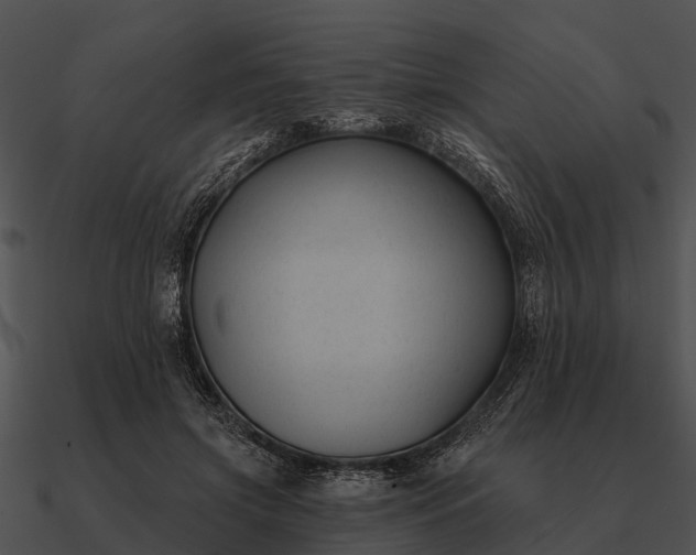 X0000090710549200708031435