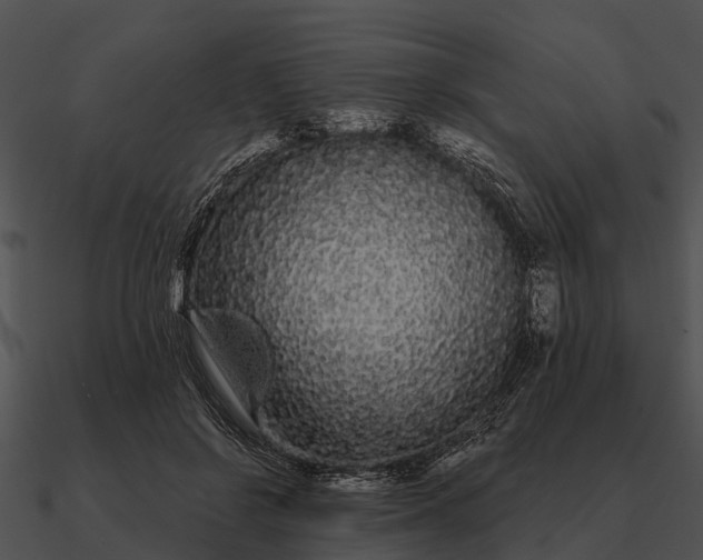 X0000090710550200708031435