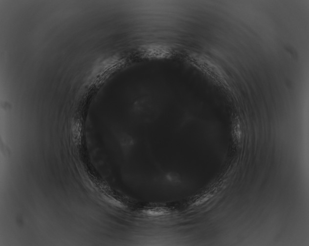 X0000090710551200708031435