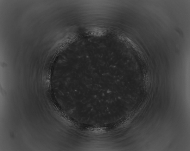 X0000090710553200708031435