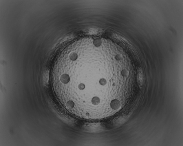 X0000090710554200708031435