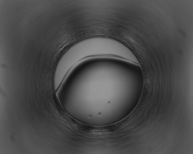 X0000090710556200708031435