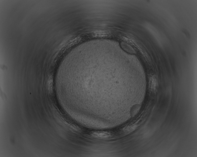 X0000090710557200708031435