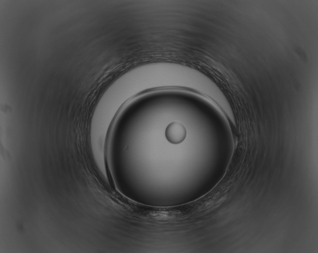 X0000090710558200708031435