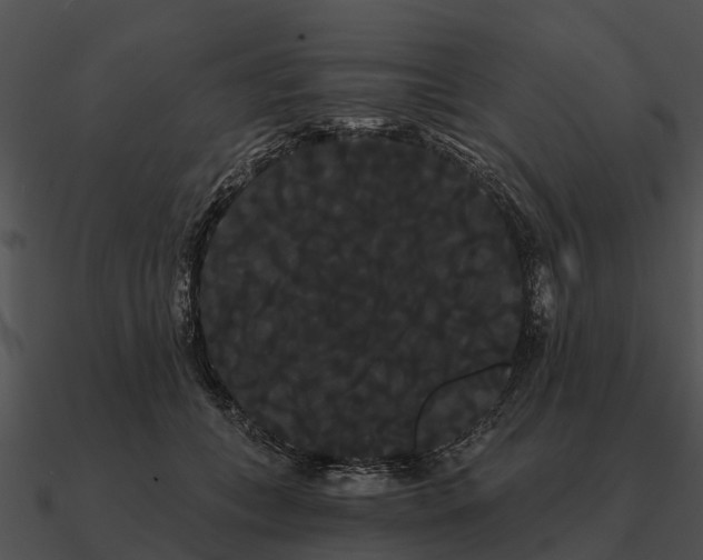 X0000090710559200708031435