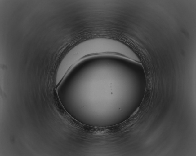 X0000090710560200708031435