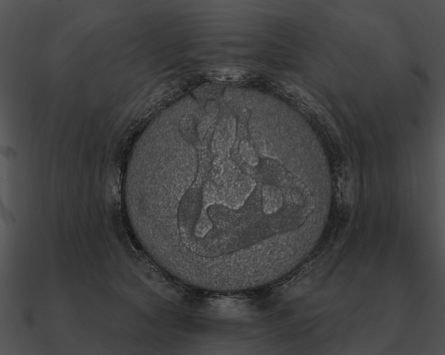 X0000090710561200708031435