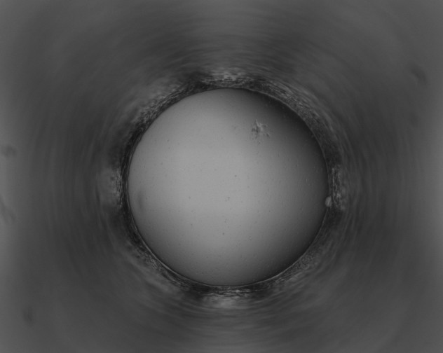 X0000090710563200708031435