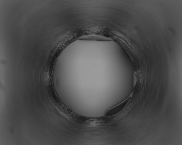 X0000090710564200708031435