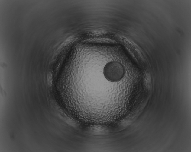 X0000090710565200708031435